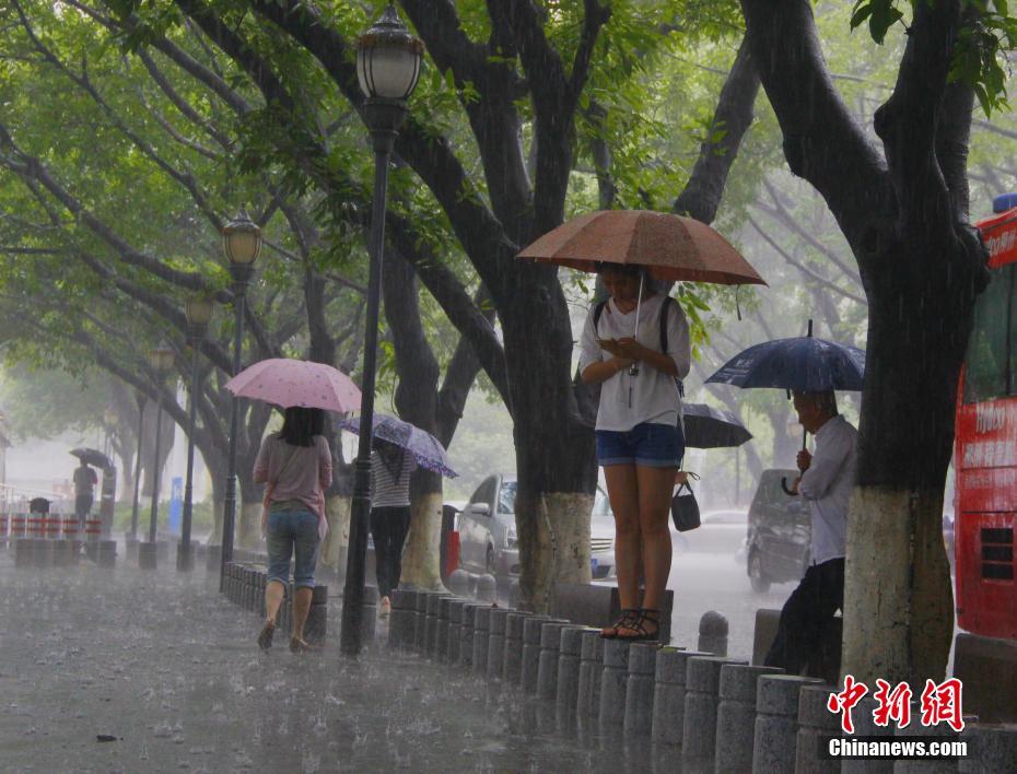 台灣妹妹