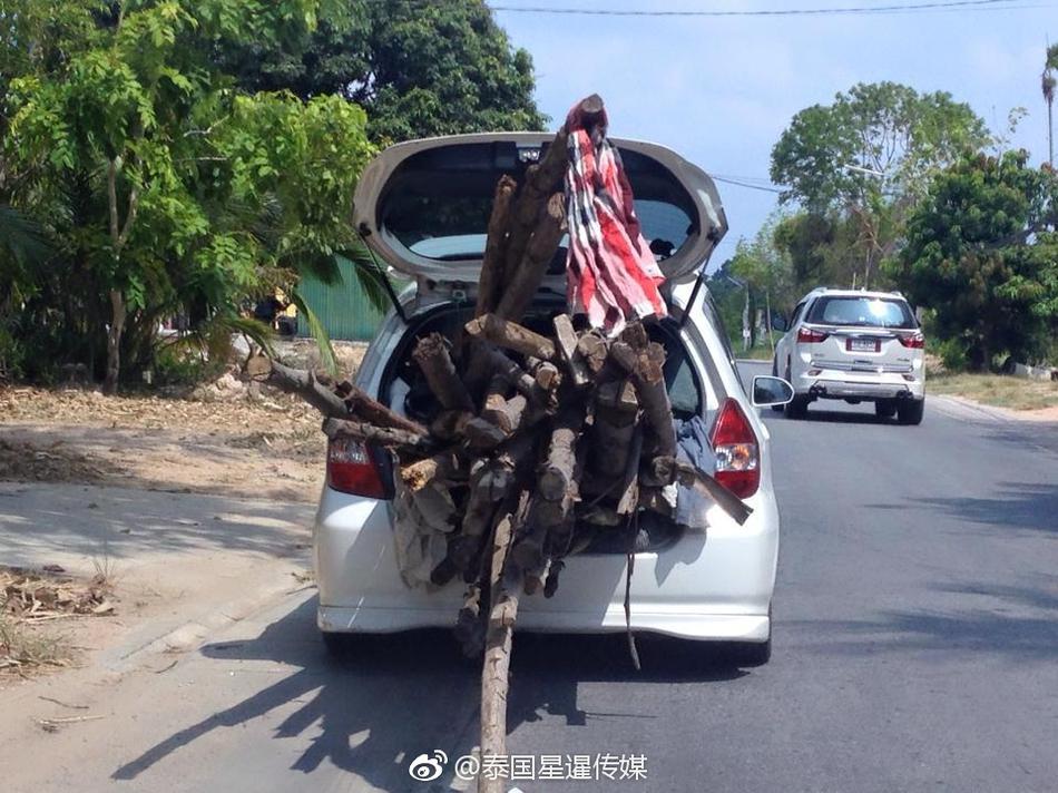 情侣 性爱 视频