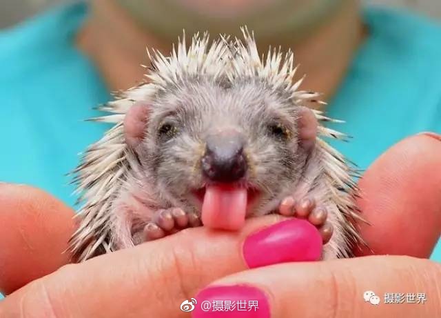 交换人妻黄色片