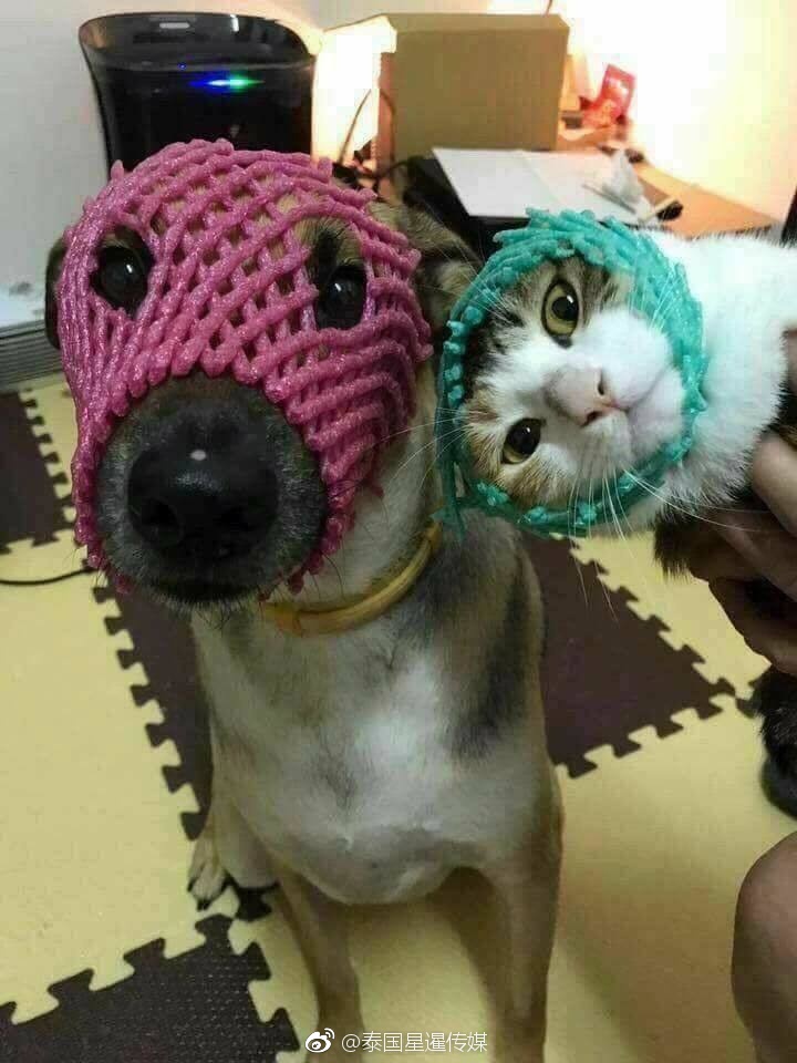 大槻響