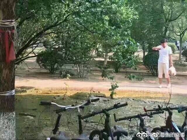日韩欧美激情