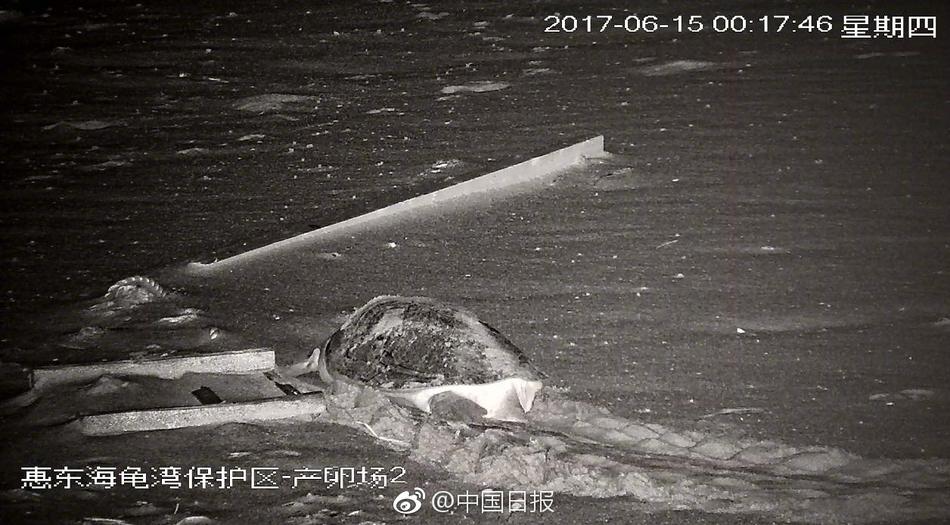 黑人大吊黄色三级片