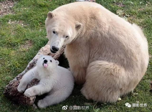 中文字幕黄色三级性爱床上