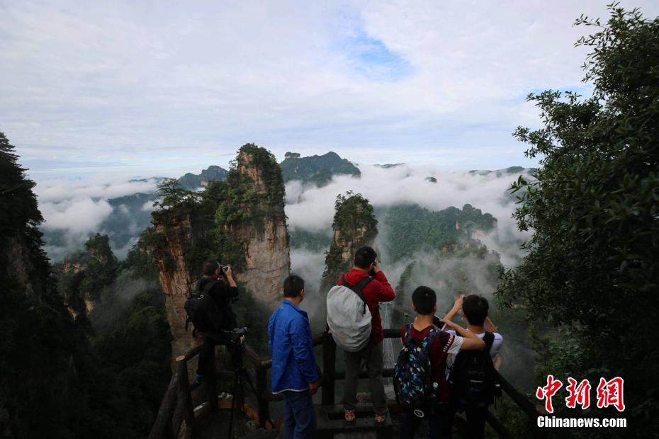 又黄又爽的网站
