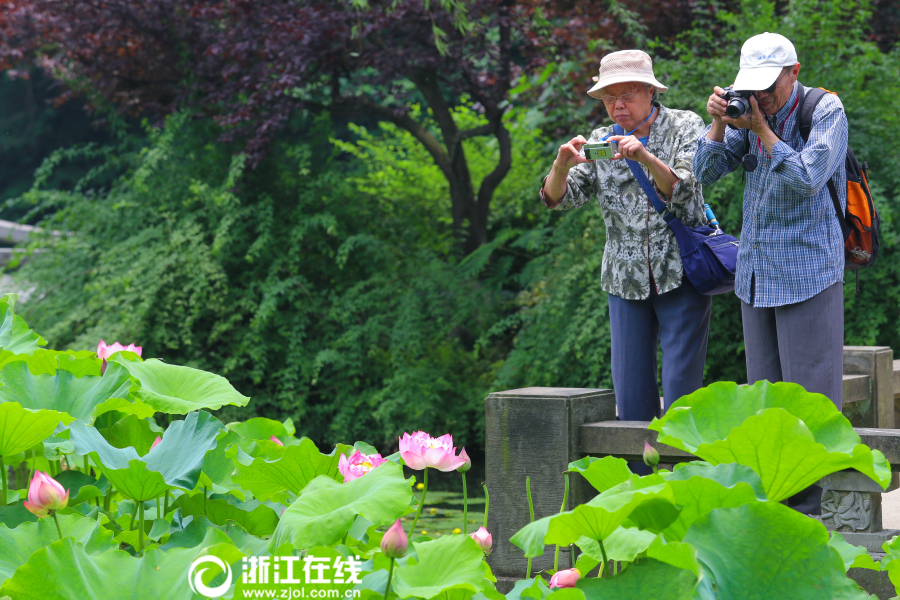 调教淫娃性奴隶