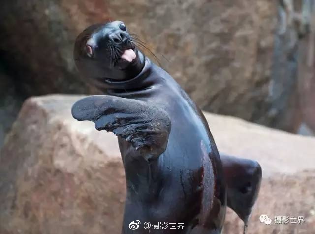 日本熟妇Xxⅹ浓密黑毛Hd图片