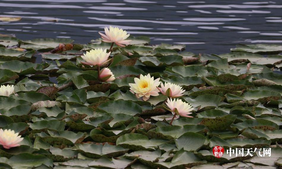 Chinese骚年引老头视频