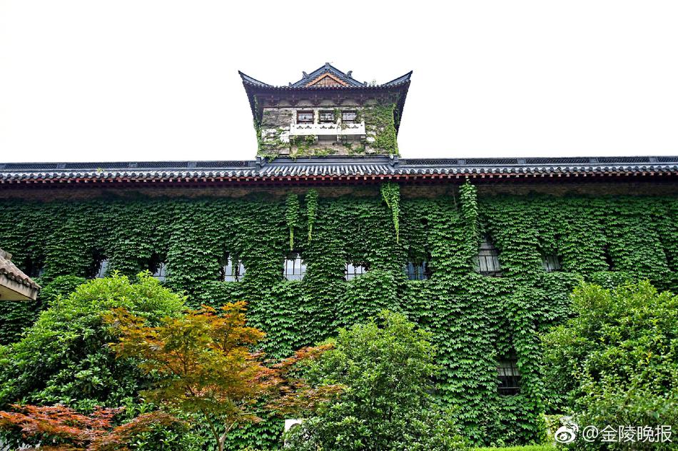 陰蒂高潮