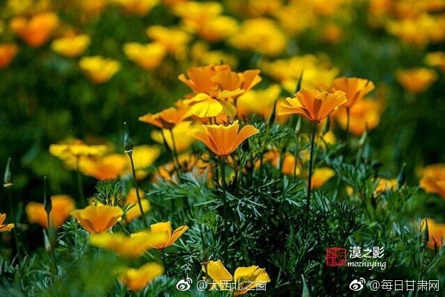 成人 視頻 免費