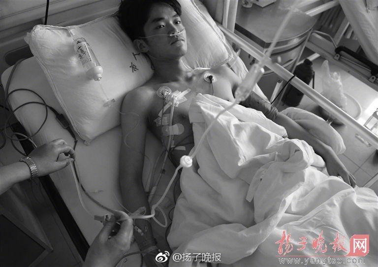 动漫黄片免费App