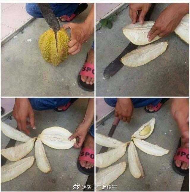 在线 成人 影视