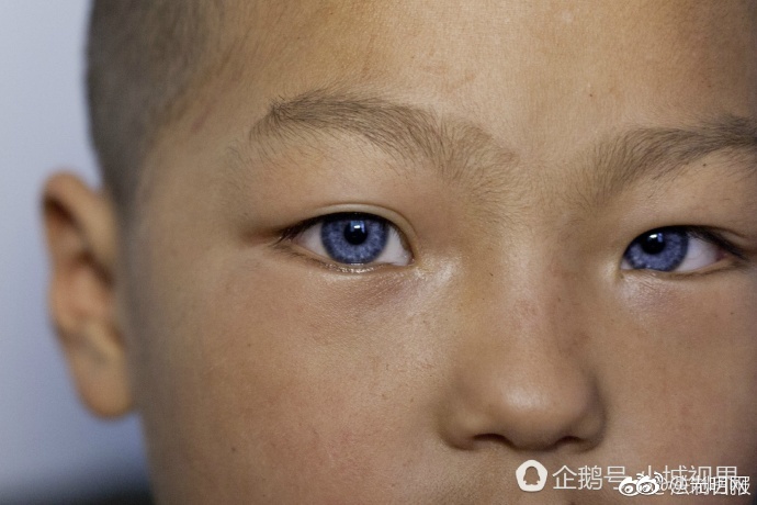 黄色直播免费手机在线视频观看