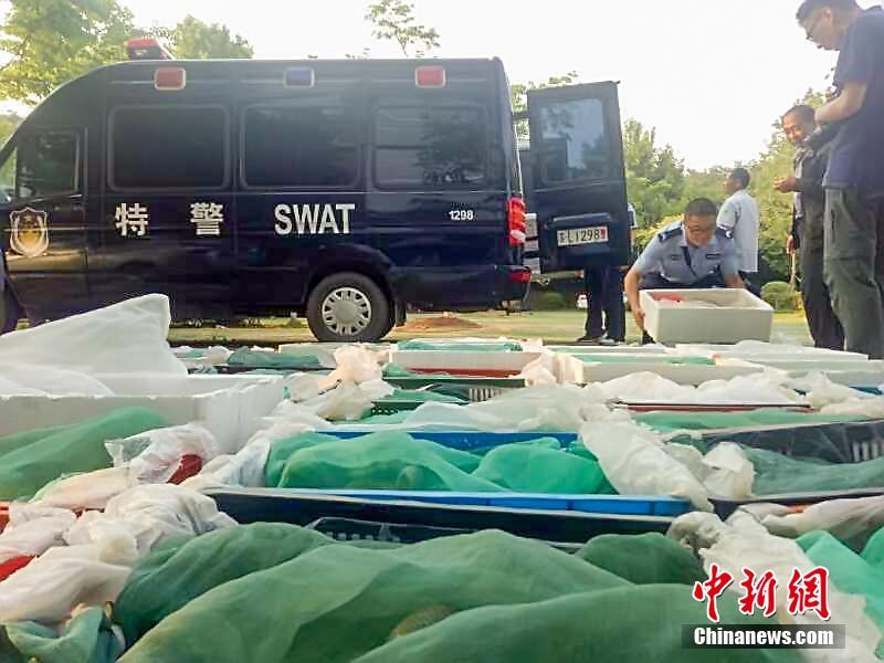 明星mv造梦大全视频星辰影视