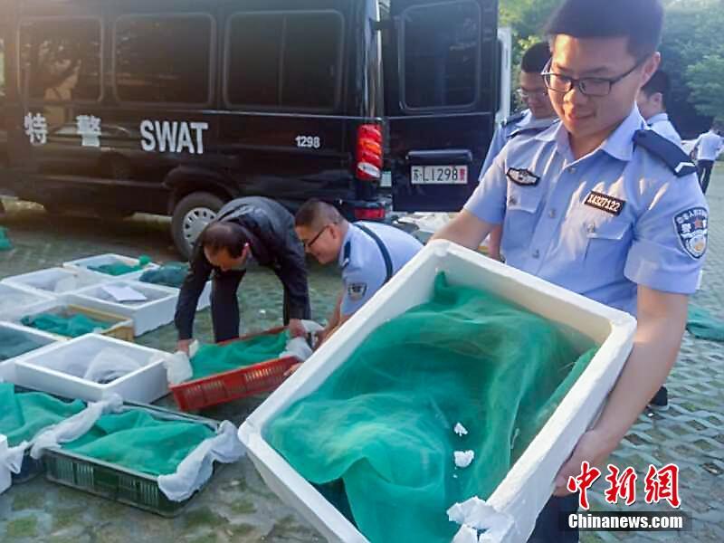 国产精品久久久久久久久久久免费看