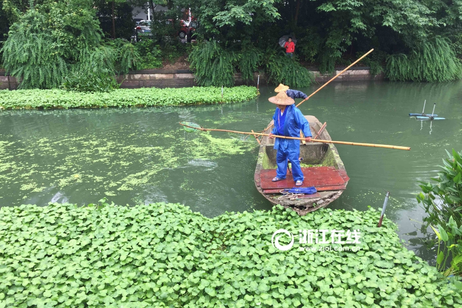 白丝美女被草