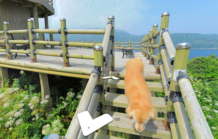 郁陵郡人口_人口普查