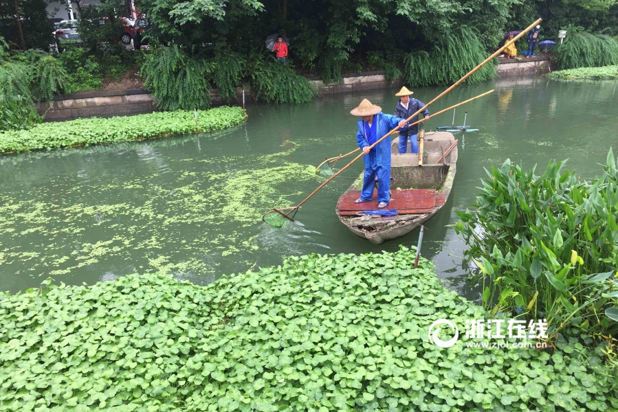 软件下载3.0.3免费OPPO版破解大全苹果,可以下载视频