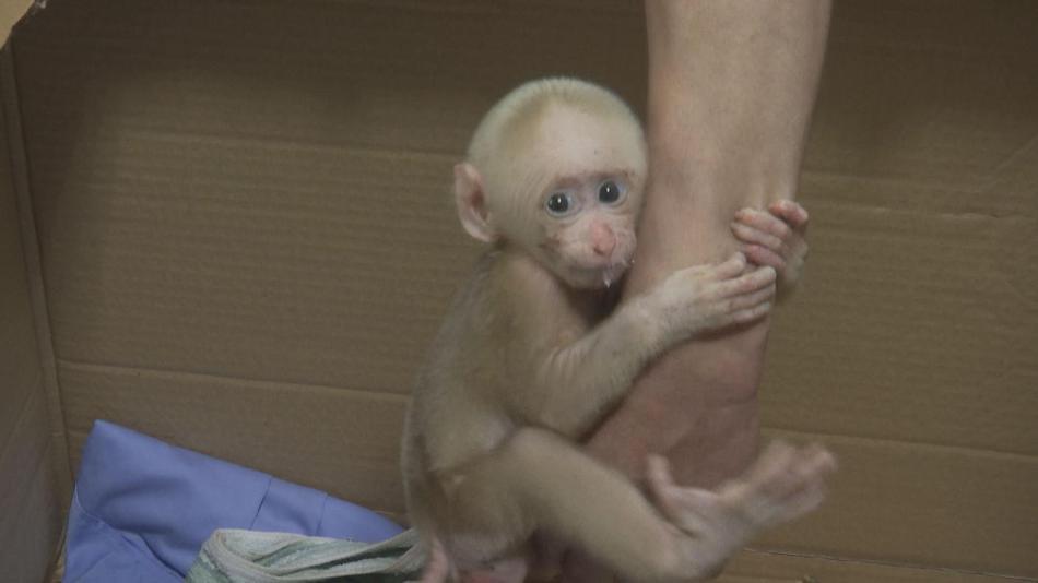欧美色老人