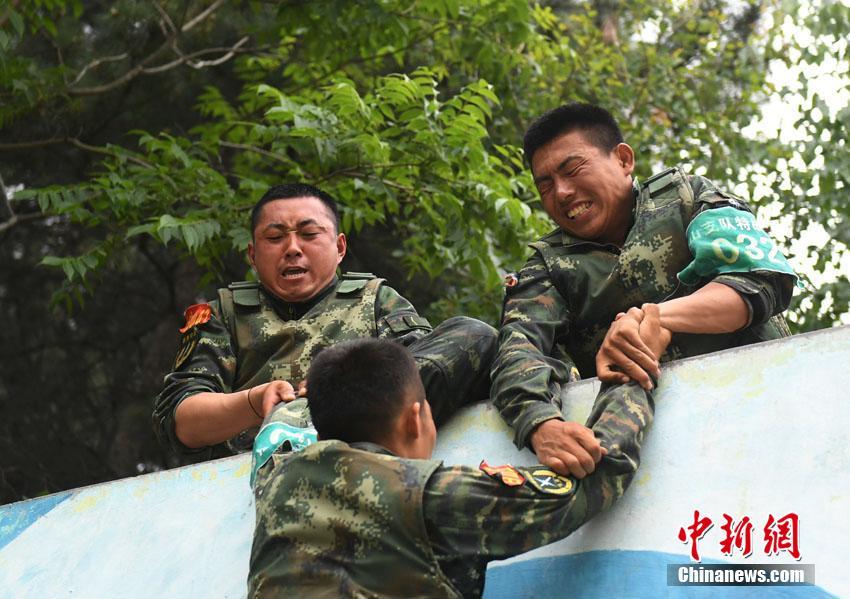 李丽珍三级电影在线看