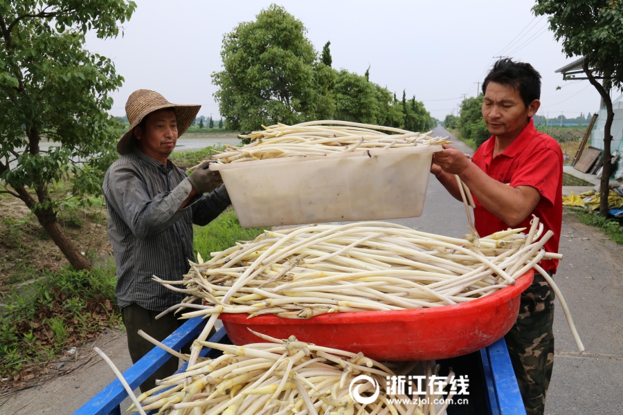 国产 高清秘 成人久久