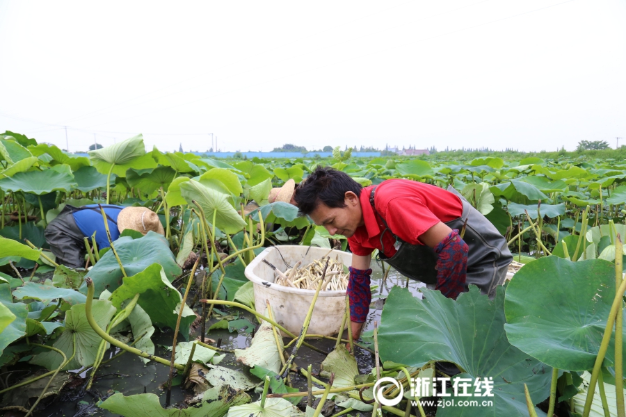 女优Av在线