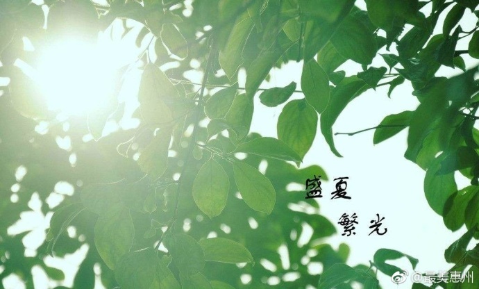 在线你懂的