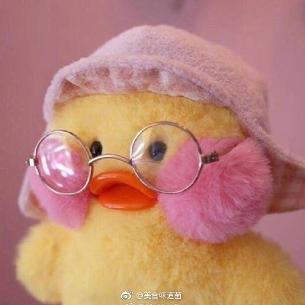 张柏芝下面毛黑黑
