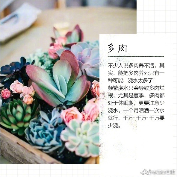 免费 做爱 片