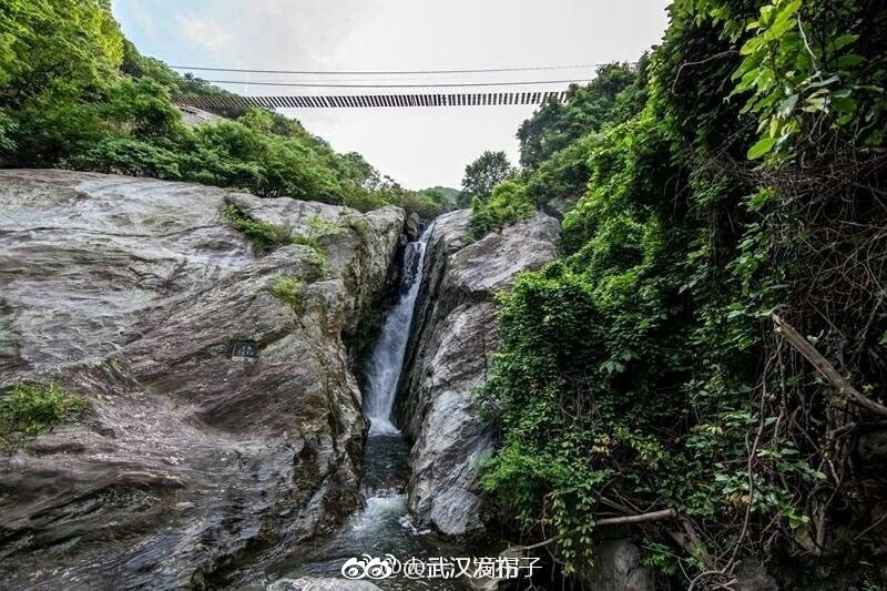 欧美老妇日骚逼