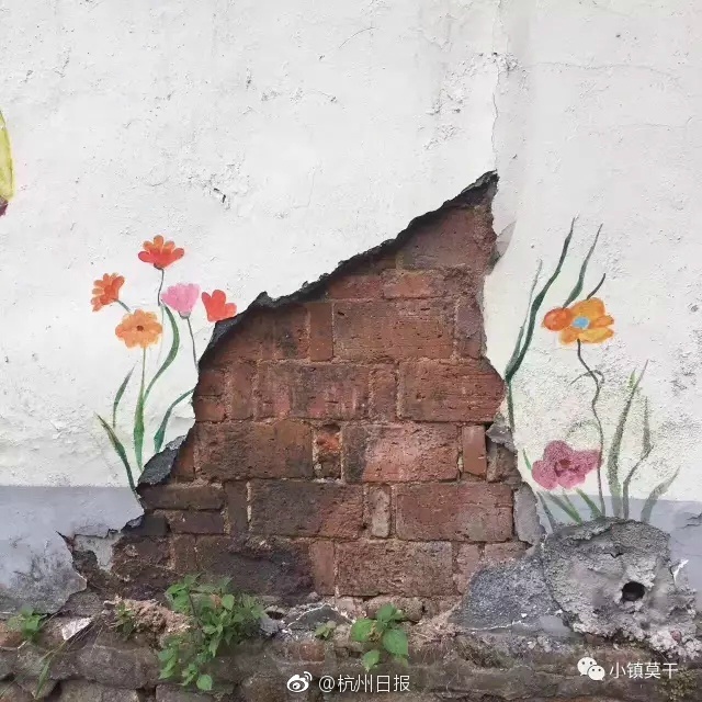 免费黄片下载观看