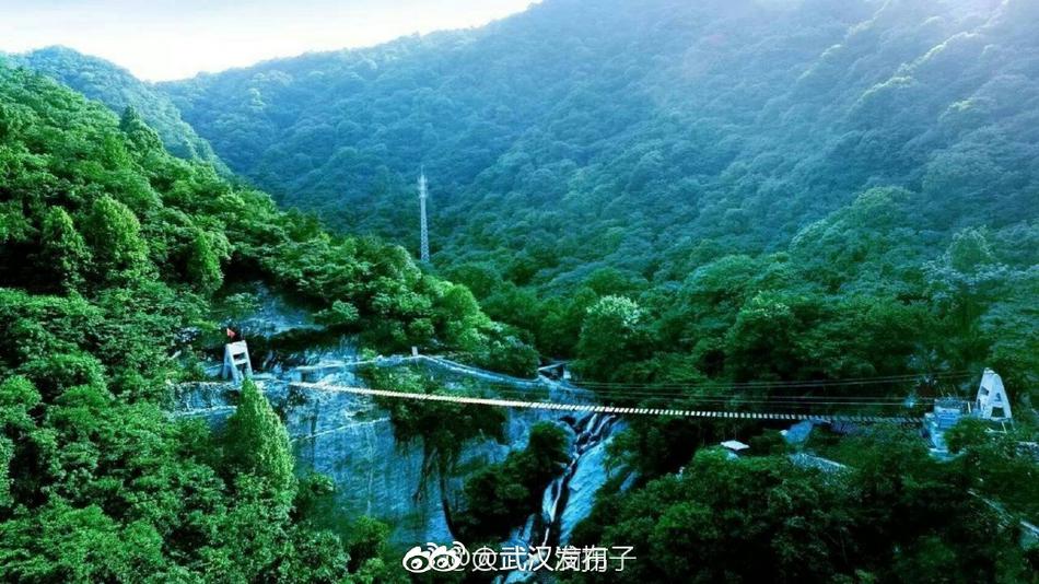 印度肥婆三极片网站
