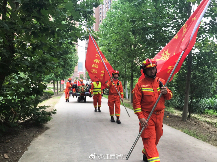 成年人黄色视频免费观看