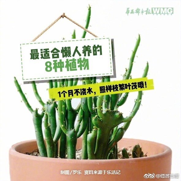 美女直播黄色片