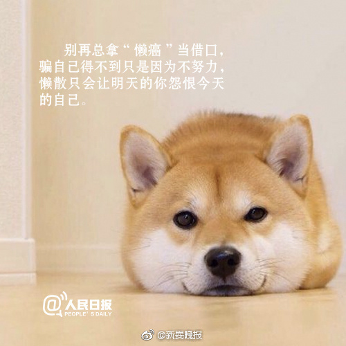 韓國美景之屋