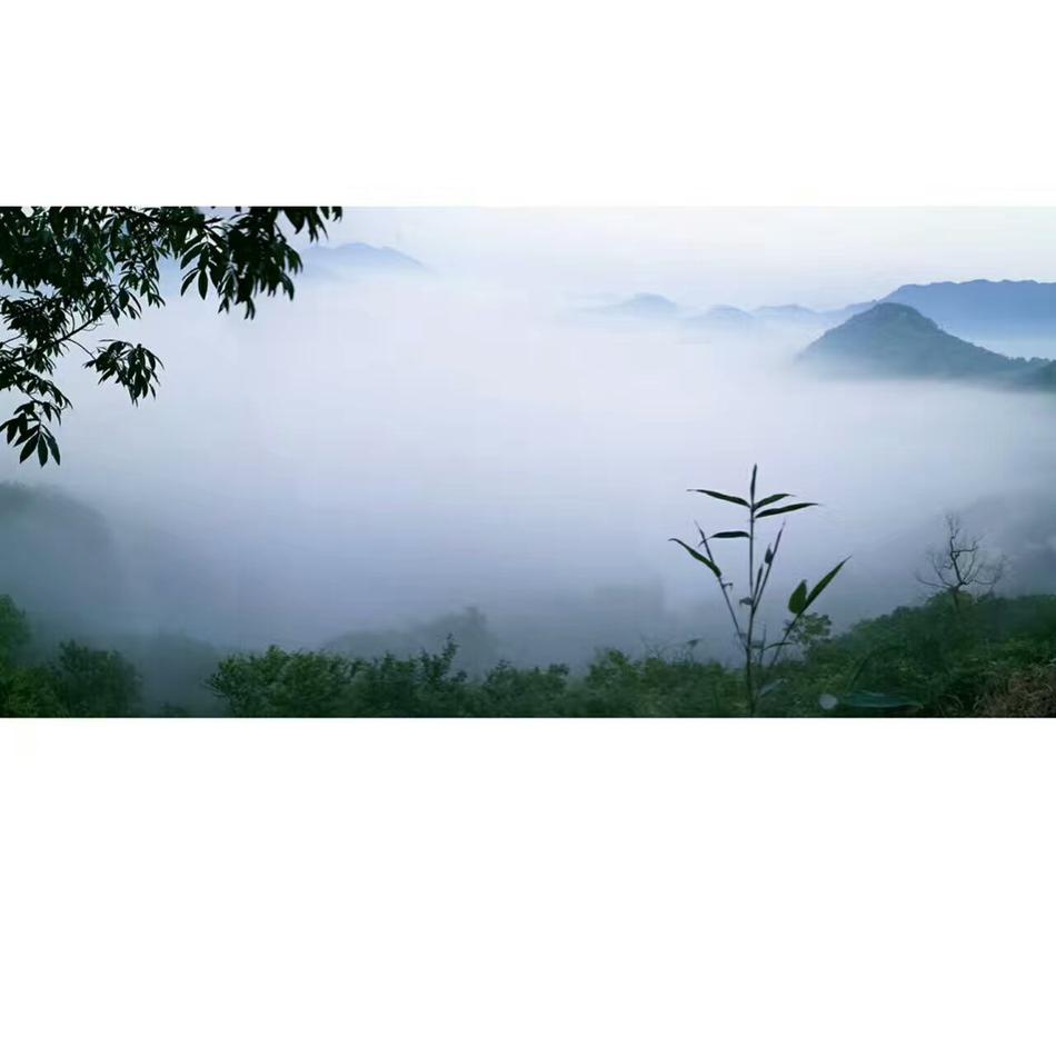 似鳥沙也加
