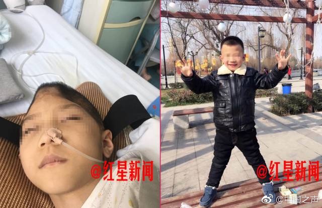黄色视频网站。免费看