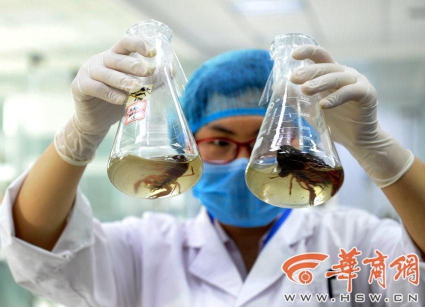 欧美成年人性生活视频免费在线看