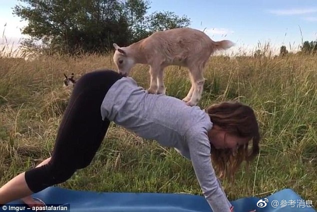 男女扒开双腿猛进入爽爽免费