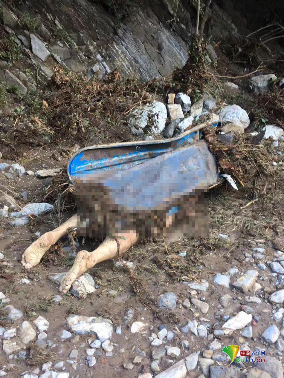 宮下真紀