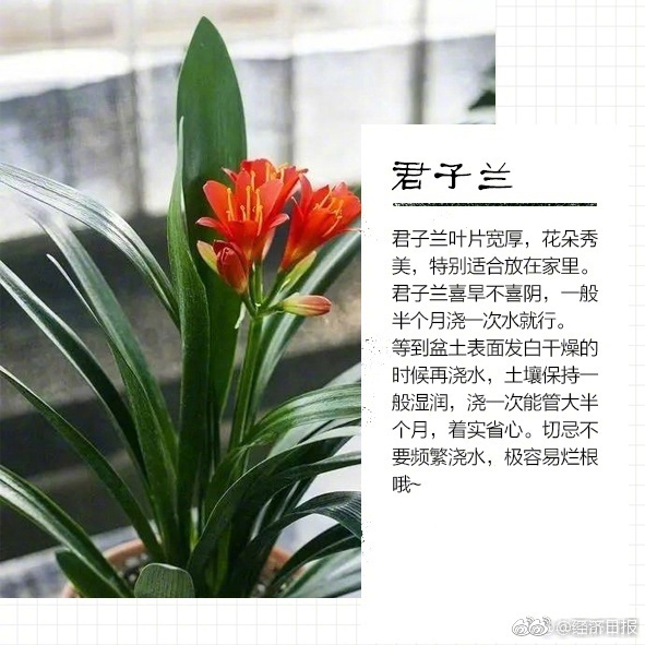 亚洲Av无码H站在线观看