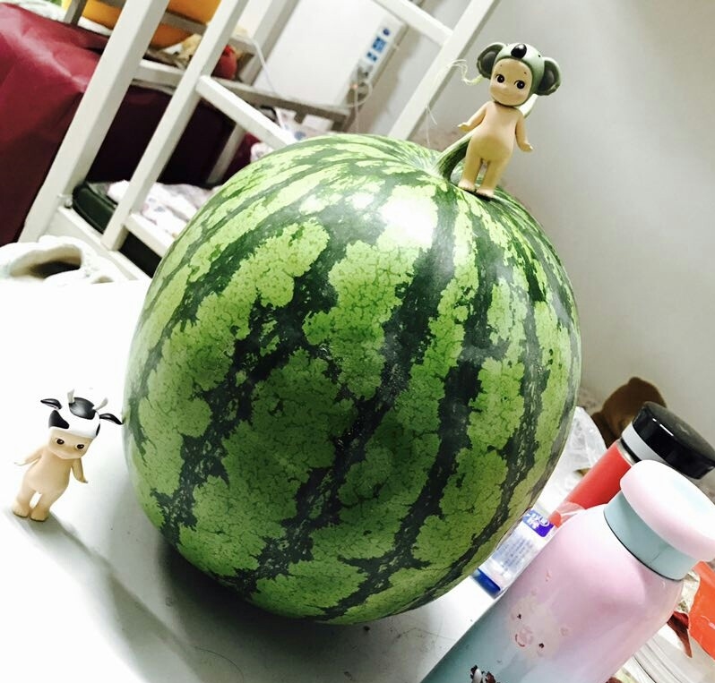 男生女生一起相差差差30免费观看电视剧没病毒解