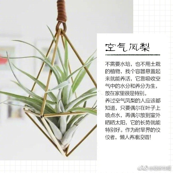 黄片三级片高清美国