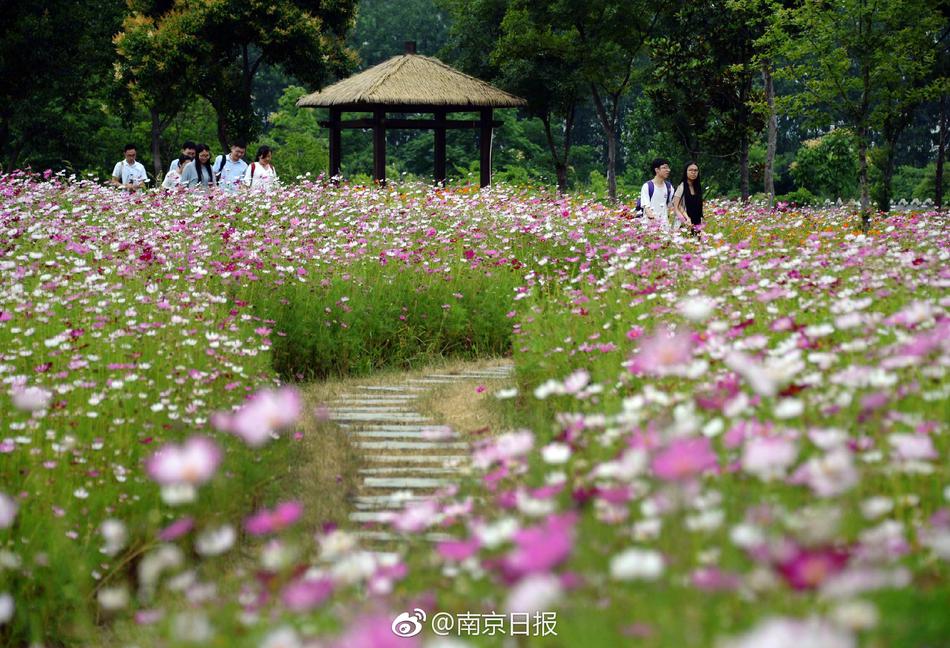 殴美三级片在线播放
