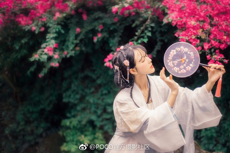 高清多毛屄