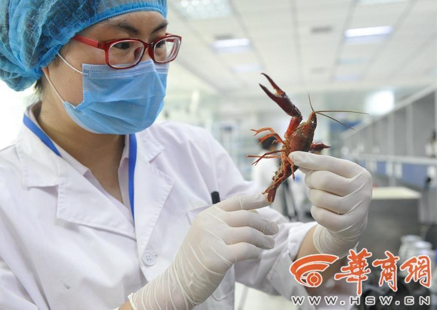 孙子操奶奶到筋疲力尽