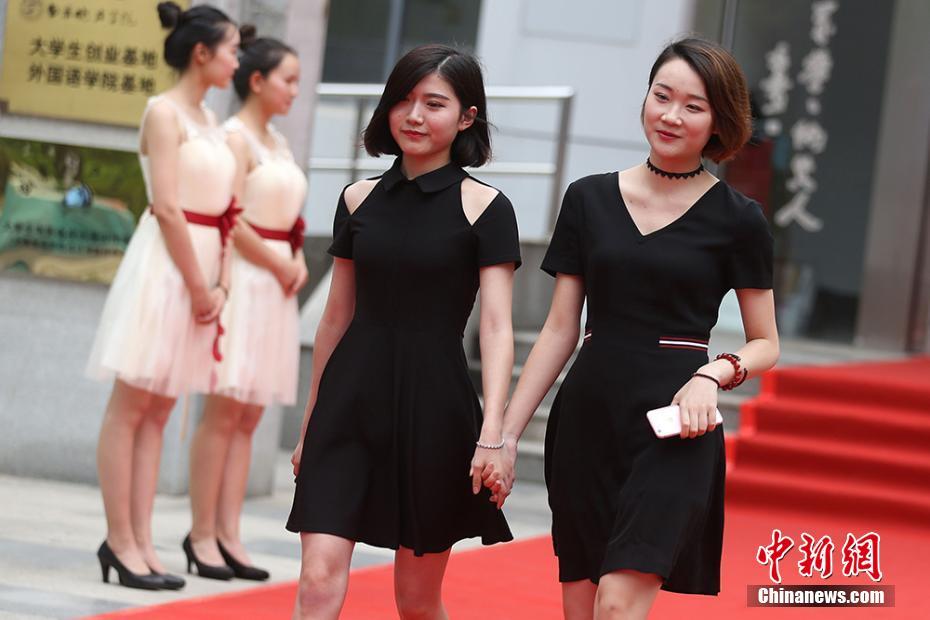 官网免费黄色视频