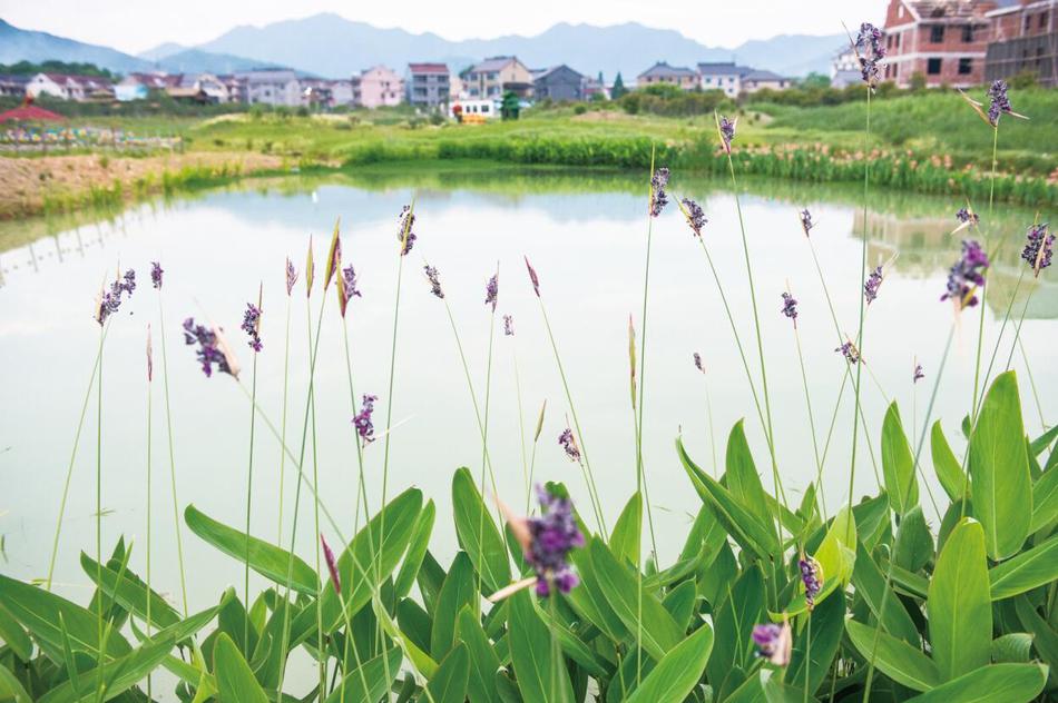 100款流氓软件