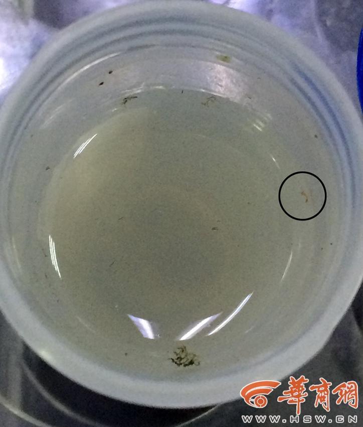 河南老头搡老太BBw