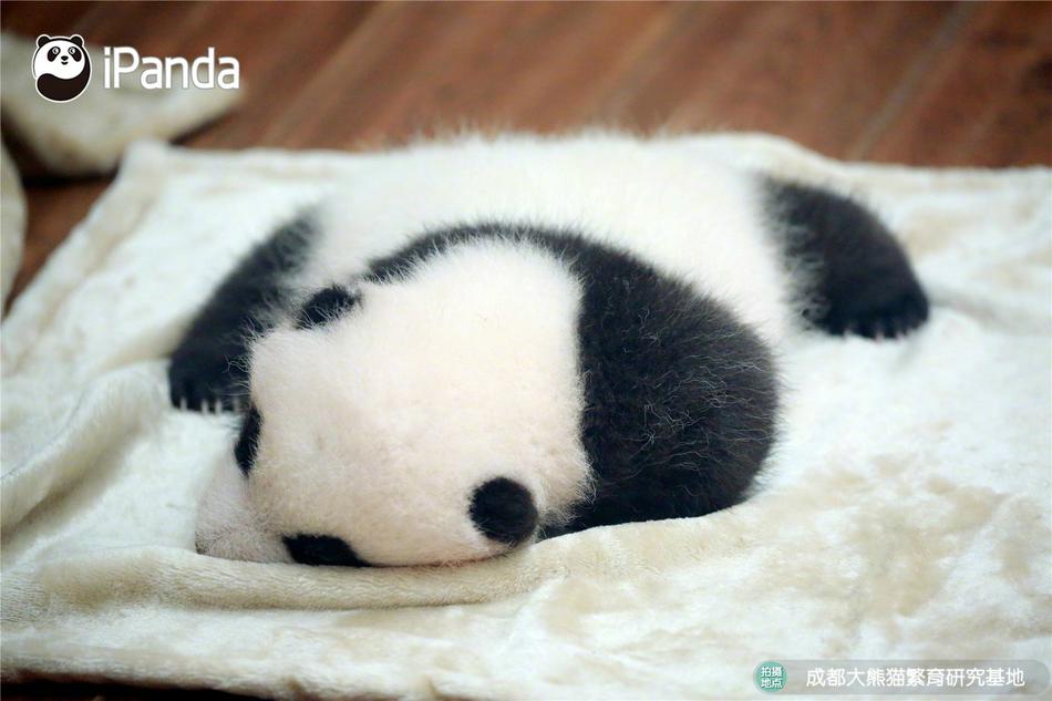 91午夜福利视频