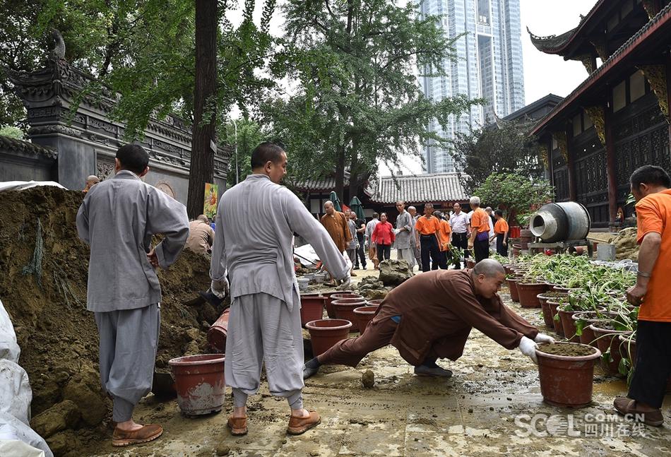 操逼免费软件